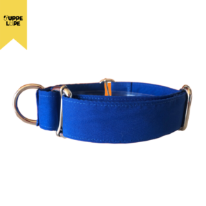 collar Martingale azul, Colombia, Collar Perro, Collar Entrenamiento para perros, collar personalizado para perro, collar azul para perro