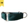 collar Martingale verde, Collar Perro, Collar Entrenamiento para perros, collar personalizado para perro, collar verde para perro