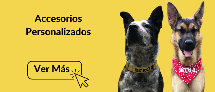 accesorios personalizados para mascotas