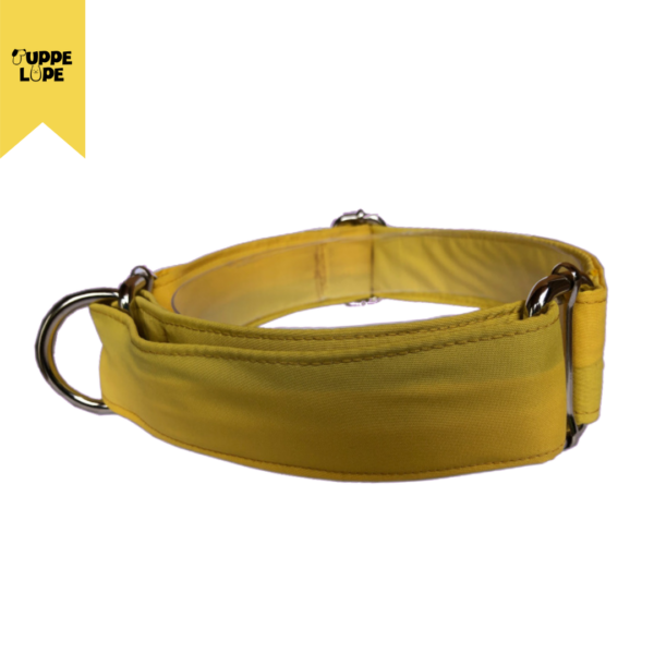 Collar Martingale amarillo, Collar Perro, Collar Entrenamiento para perros, collar personalizado para perro, collar amarillo para perro